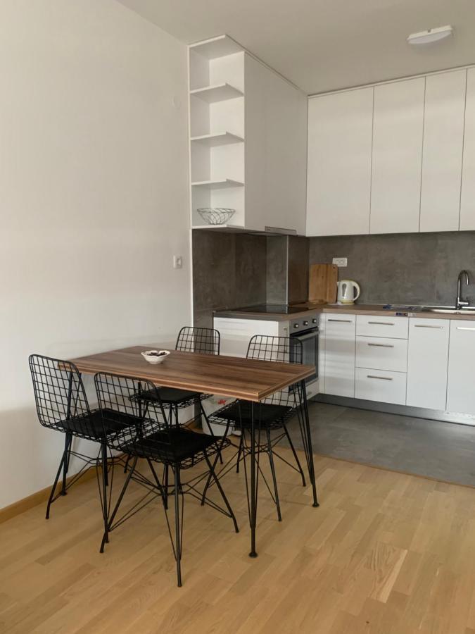 Apartment 45M2 波德戈里察 外观 照片